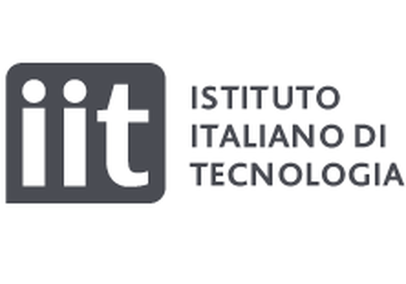 ERC-funded postdoctoral position, Italian Institute of Technology, Genova, Italy